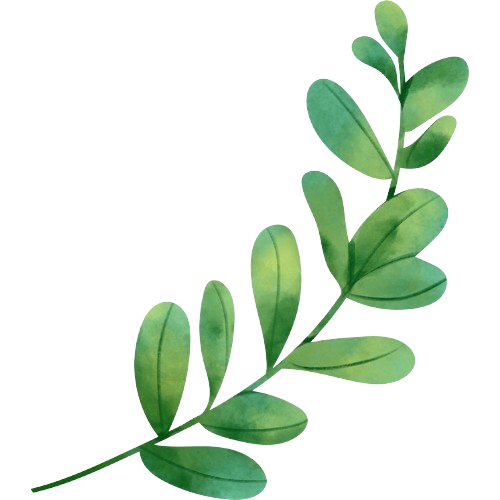 Illustration feuillage