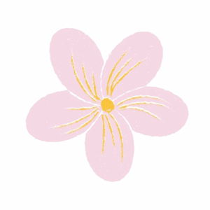 illustration fleur rose