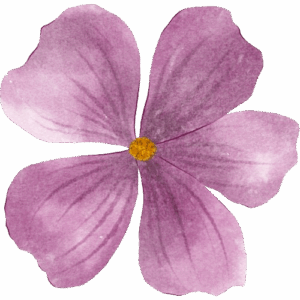 illustration fleur violette